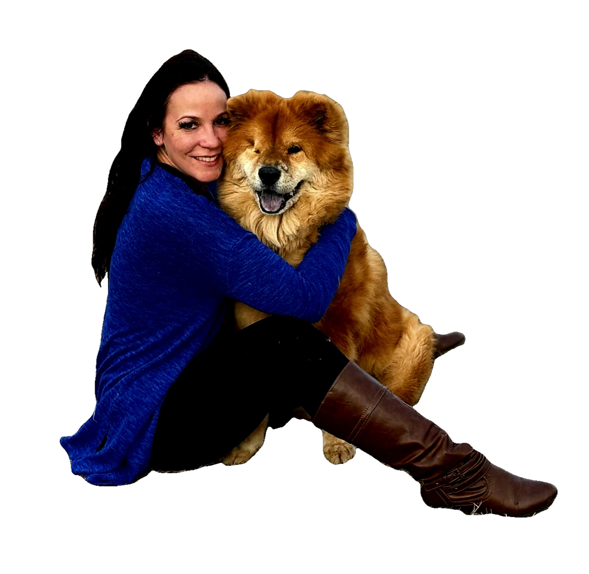 chow chow dog, behavior boss dog training for chows